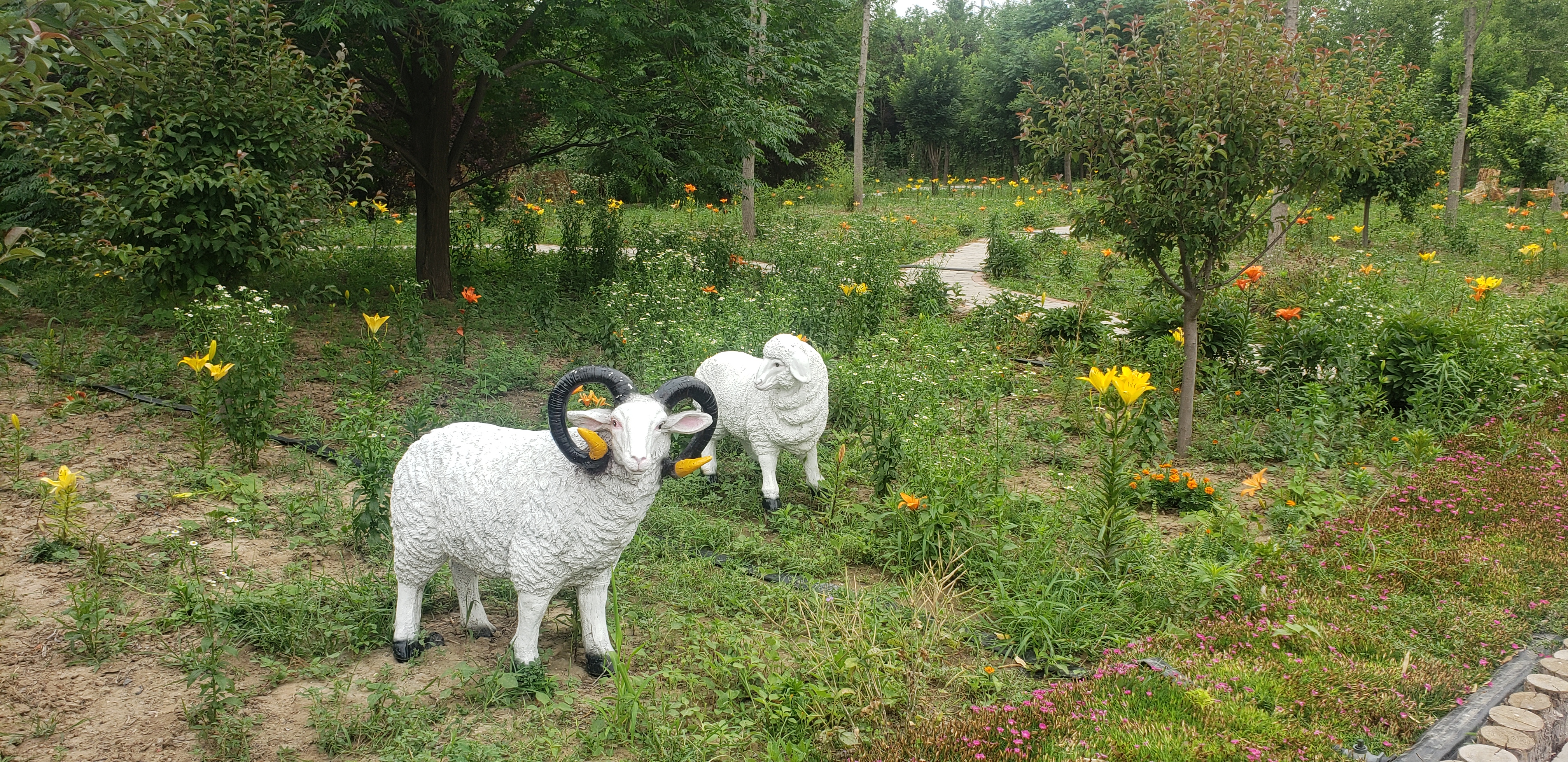 娼嶅潑姹熷寳浠欒崏灏忛晣,浠欒崏灏忛晣娼嶅潑