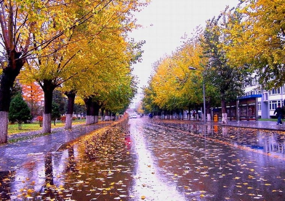 东北大学优势学科、特色专业及报考注意事项