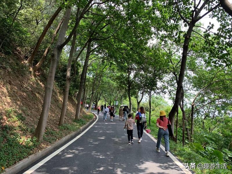 广州云道的5个入口,广州云道线路图高清版大图