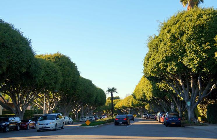 nba詹姆斯旅游,詹姆斯nba旅程