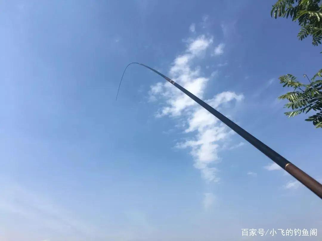 初学者一套钓鱼装备多少钱,新手买钓鱼套装多少钱