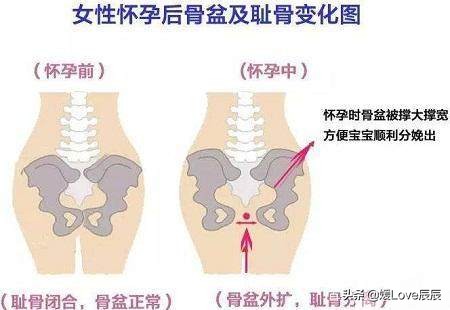 我是媛媛所有视频,我是媛媛完整视频