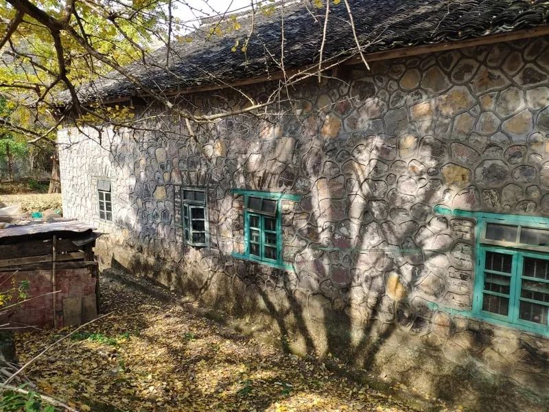 2月份去恭城看柿子,什么时候去恭城看柿子最好