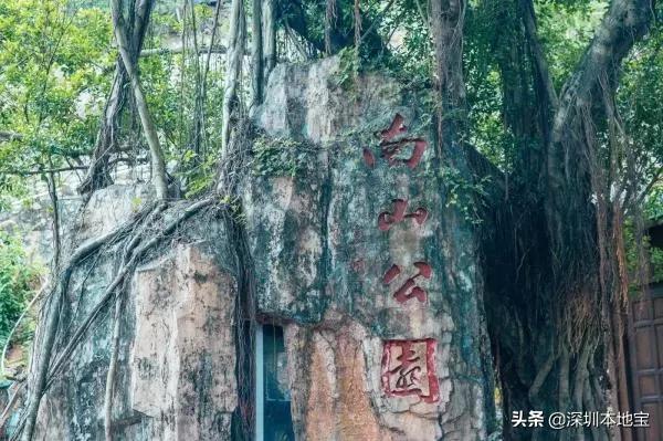 深圳有哪些地方免费景点,深圳都有什么景点免费游玩