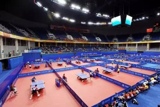 宁夏盐池嘉年华,盐池嘉年华巡游