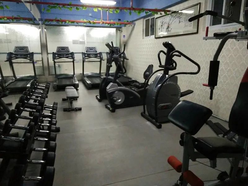 ibfa青少儿体适能课程,ibfa青少儿体适能