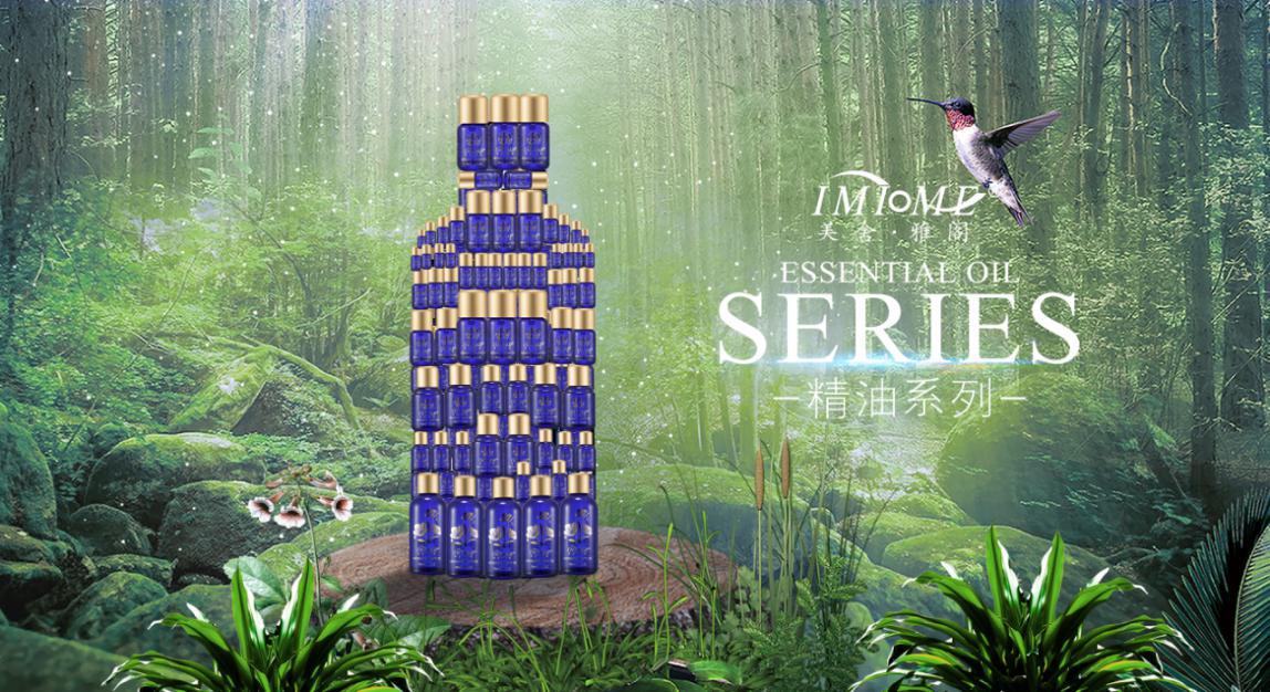 服务至上试营业,服务至上店铺