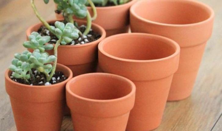 养花怎么选盆,新手养花推荐什么盆