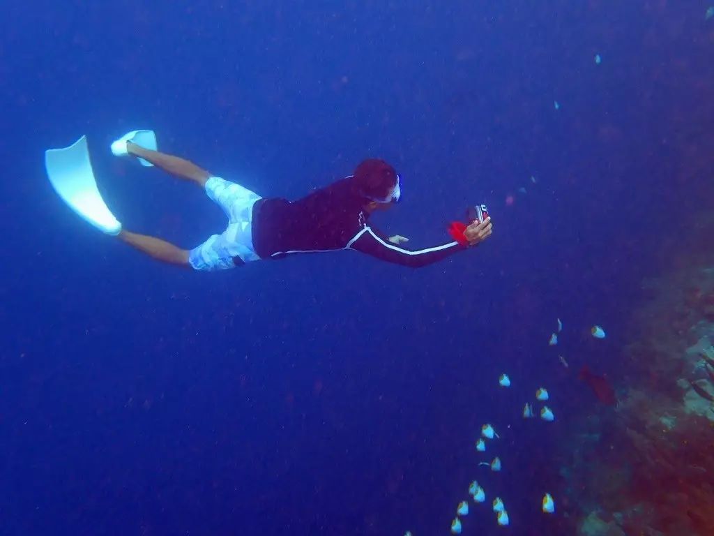 帕劳归来不看海谁说的,帕劳归来不看海