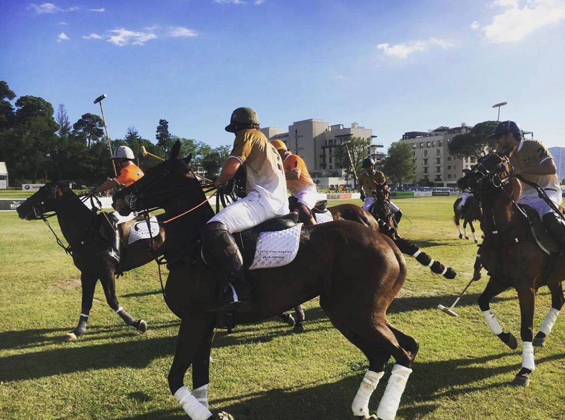 PolointhePort-黑山港马球活动