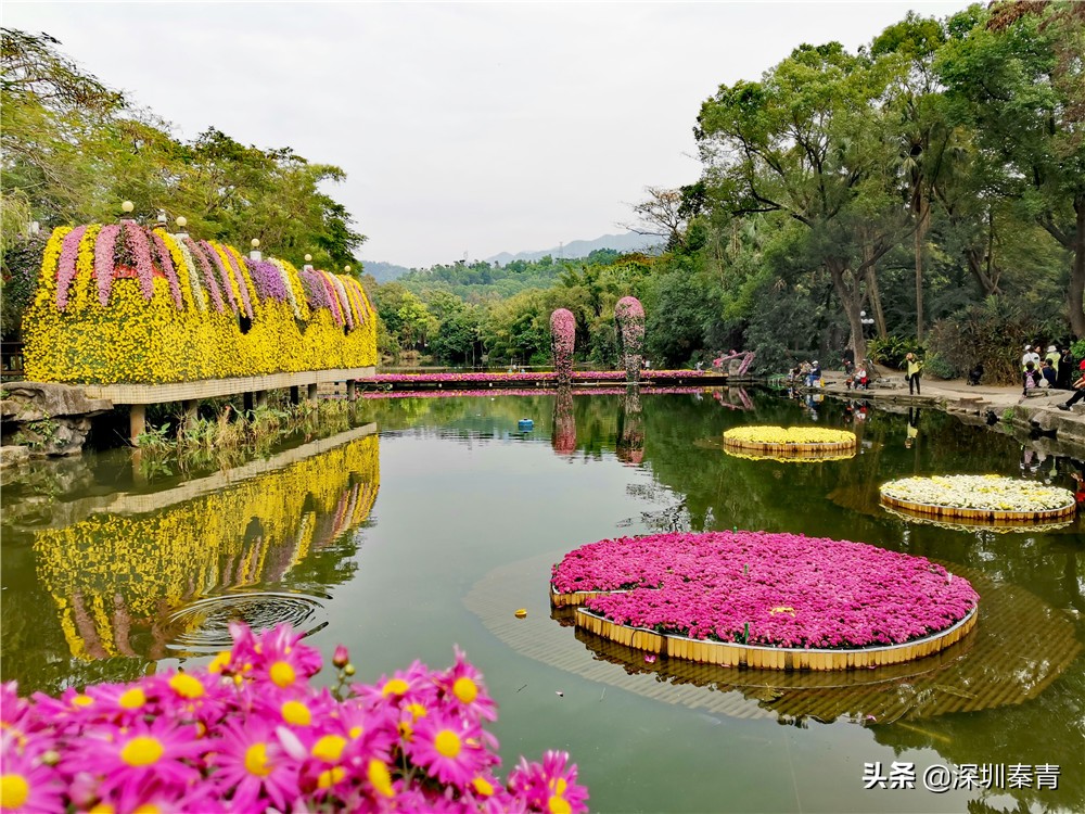 深圳老牌东湖公园,东湖公园的景区