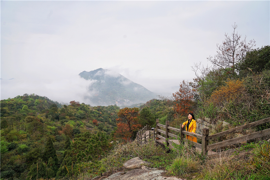 江南水乡旅游攻略四天三晚,温州旅行攻略四天三夜
