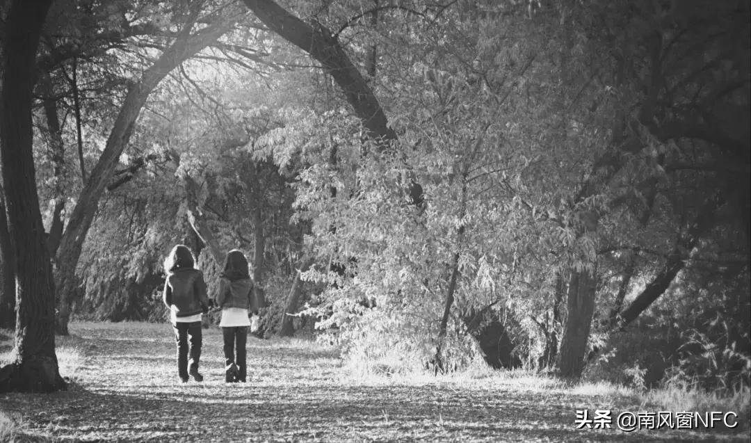 王振华什么时候被抓,王振华事件详细介绍