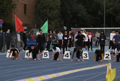 看了冬奥会感受,看了奥运会