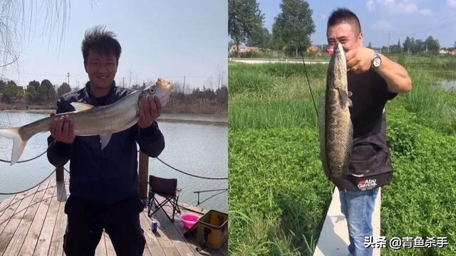 路亚炸线的原因分析和解决办法,玩路亚为什么炸线