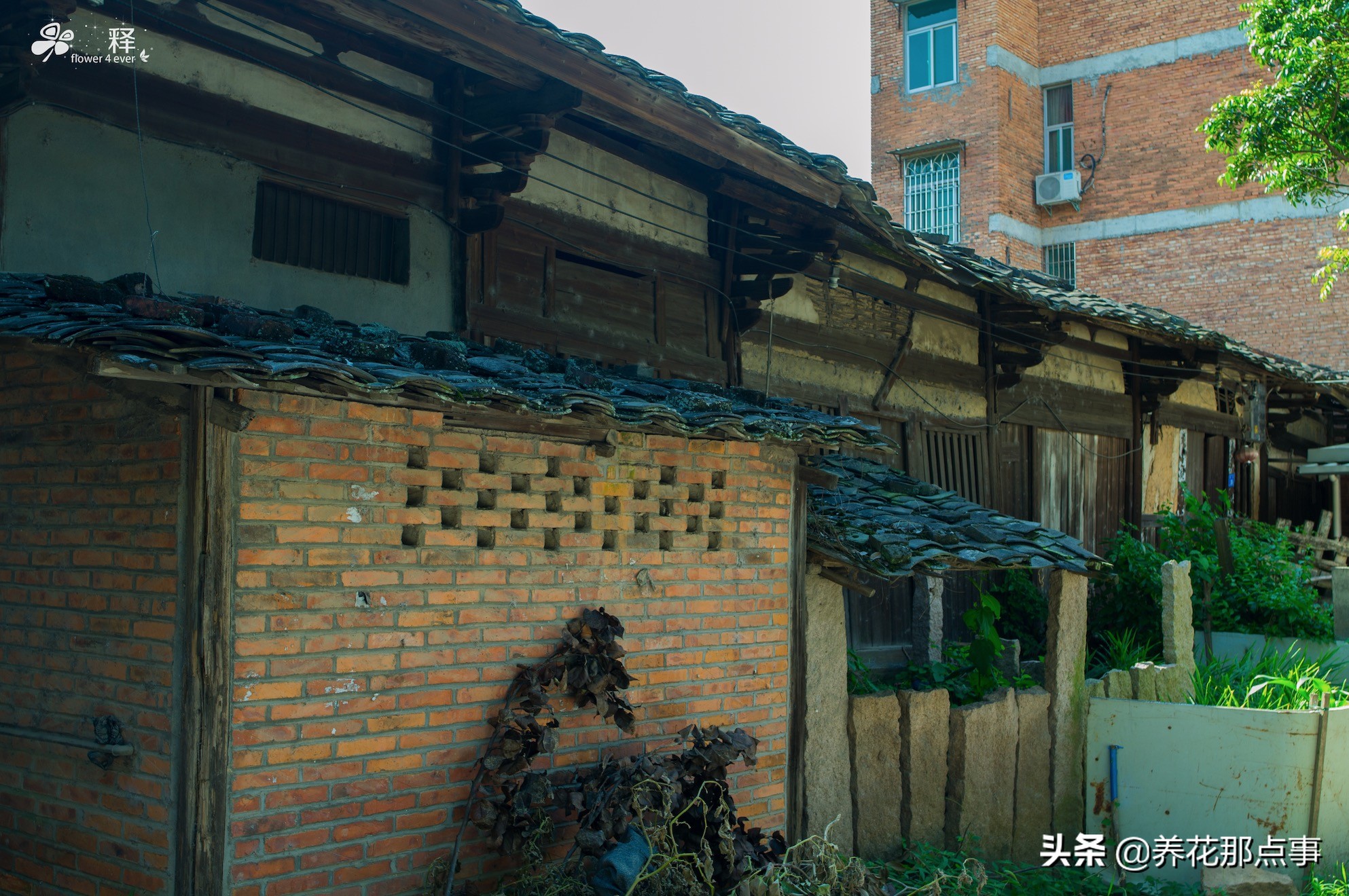 二线城市福州的薪资水平,二线三线城市房子多少钱