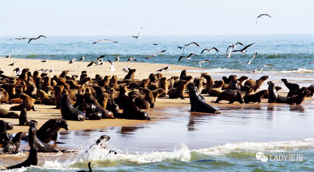 非洲最洁净的首都在哪里？纳米比亚：大自然的“最”爱