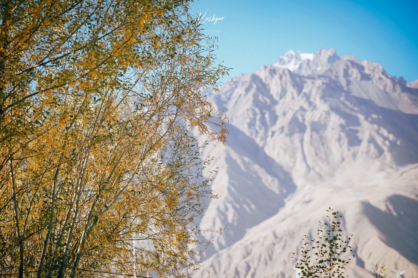 大美*疆新**，一个快递不包邮的地方，藏着不一样的异域风情
