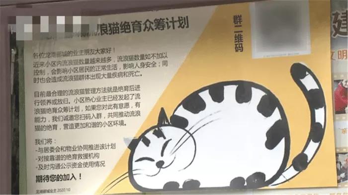 救助流浪猫的都是哪些人,救助了流浪猫没出钱被骂了