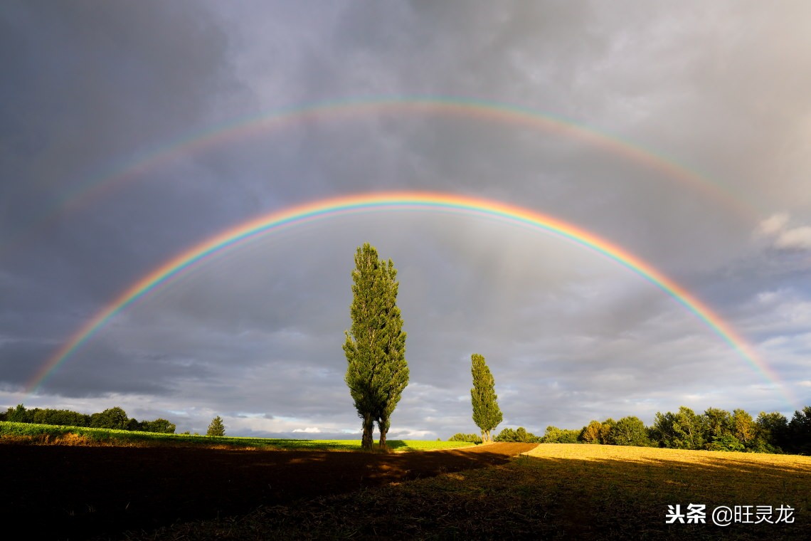 摄影用的uv镜有用吗,相机镜头uv镜怎么选