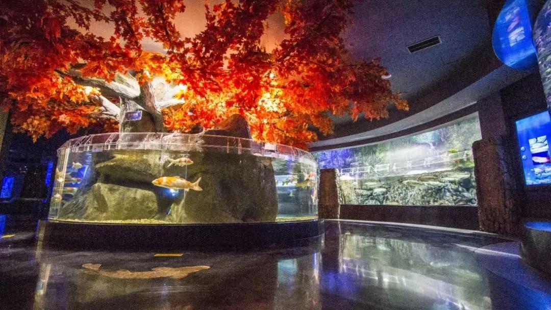 成都海洋馆浩海立方奇幻之旅,成都浩海海洋立方馆和海洋世界