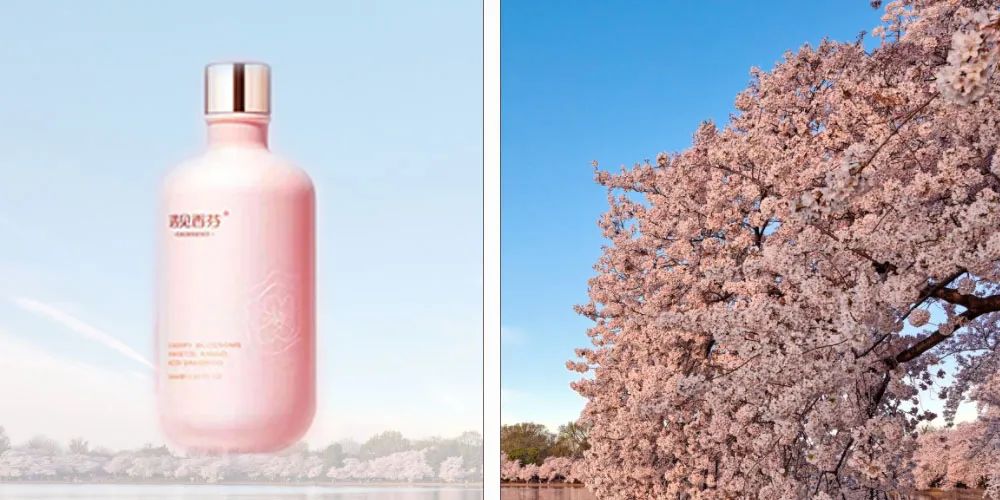 油头去屑控油止痒洗发水排行榜,超级大油头控油洗发水初中生