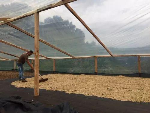 咖啡豆产区哥斯达黎加详解,咖啡豆南美洲产区之巴西