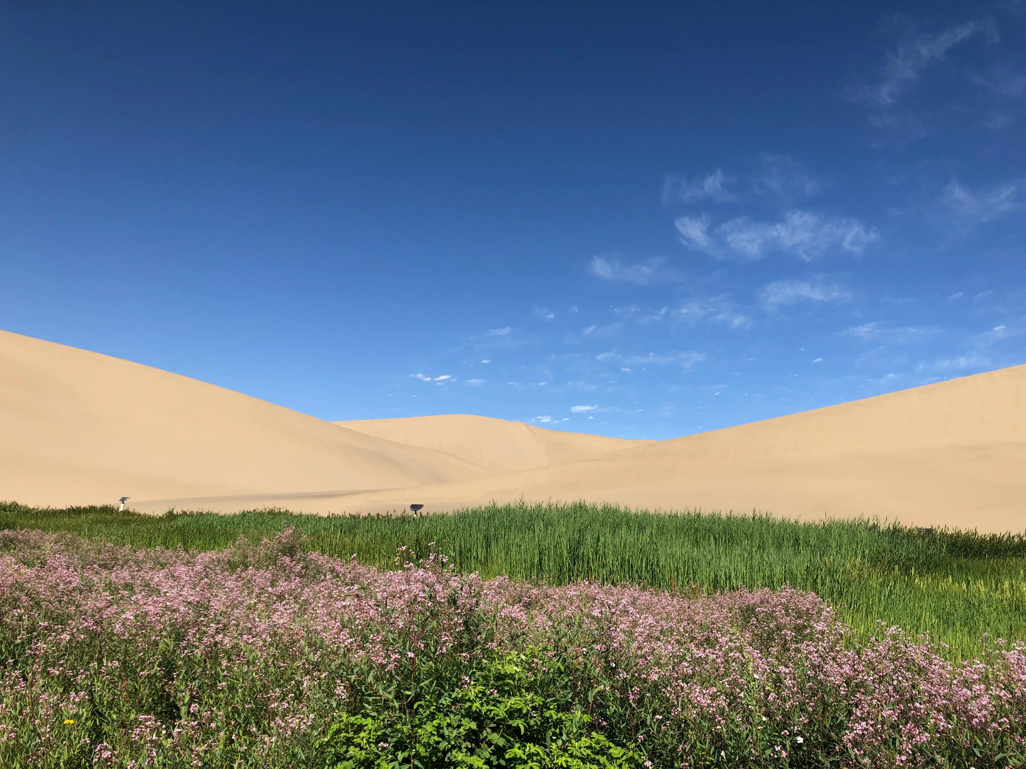 敦煌月牙和鸣沙,鸣沙月牙