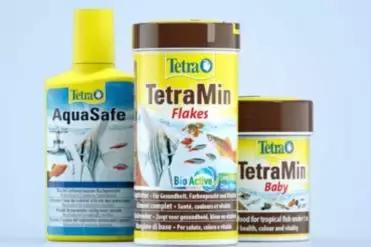 宠物食品的创新方法,宠物食品创新