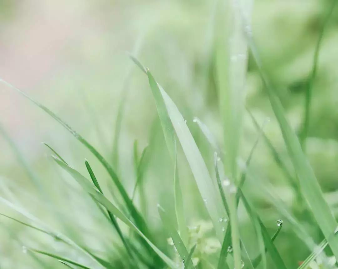 中医刘炳凡,中医刘炳凡治什么病