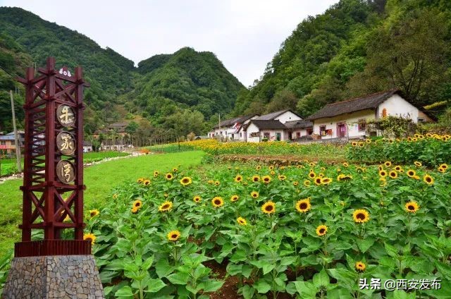 陕西省十大村庄,陕西省11个贫困县名单