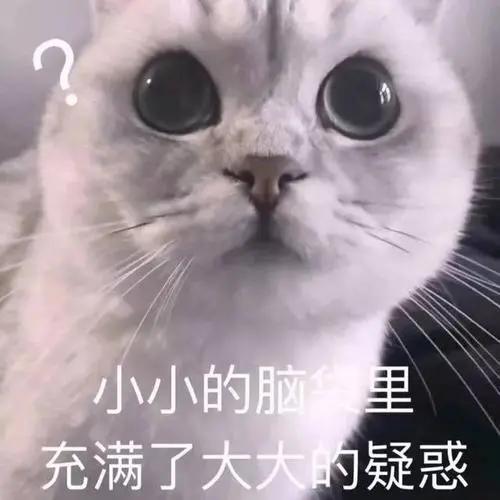 天猫北面官方旗舰店有假的吗,哪些天猫旗舰店是假的