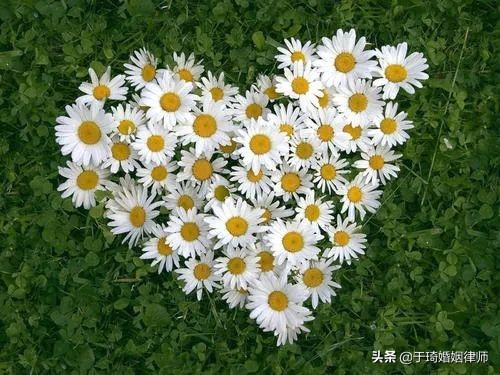 离婚律师一对一咨询专业分析,不想离婚可否请律师帮助调解