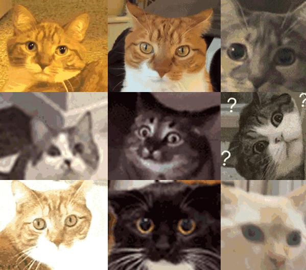 别骂了别骂了，我不就是被充多多忽悠了嘛