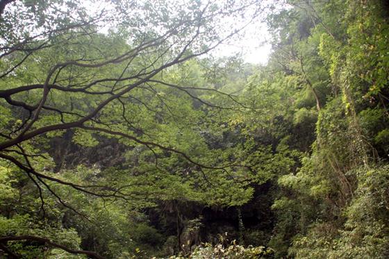 神龙峡：幽谷深深隐桃源