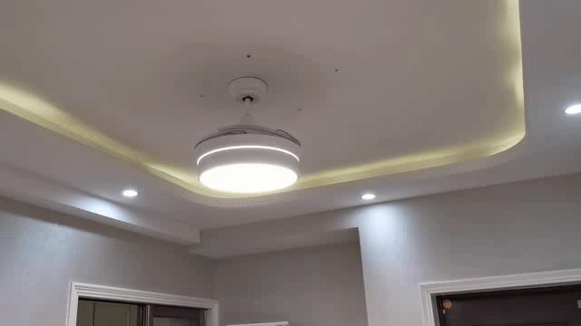 风扇十大公认品牌大全,家用风扇红黑榜