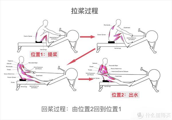 超小型可折叠划船机,可以折叠的划船机