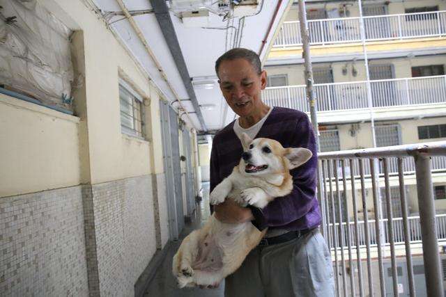 比较适合老年人养的宠物,陪伴老人养什么宠物比较适合