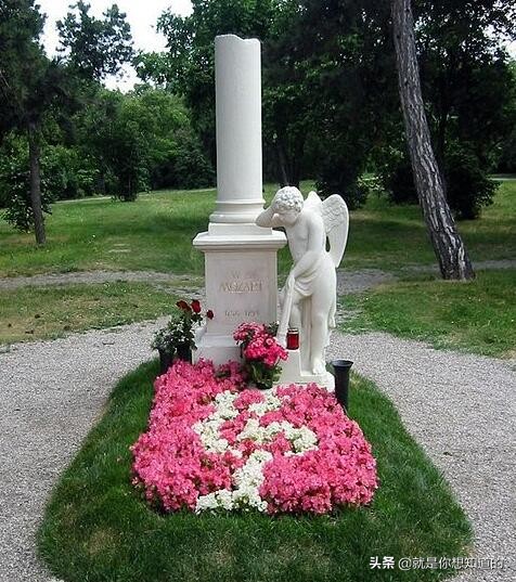 科学家揭露莫扎特死因,莫扎特死因之谜视频