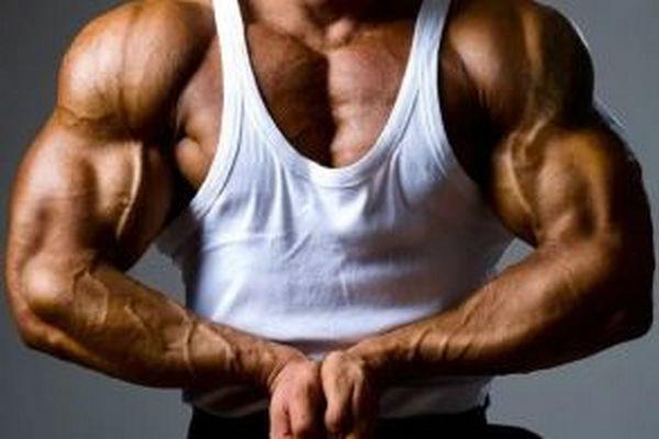 怎样才能练出强壮的手臂肌肉呢,如何快速锻炼手臂的臂力