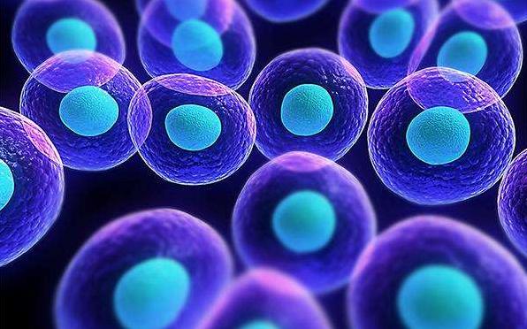 触电人体会怎样,触电后电流可能对人体产生的后果