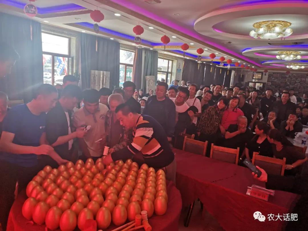 农大肥业简介,农大肥业高氮水溶肥