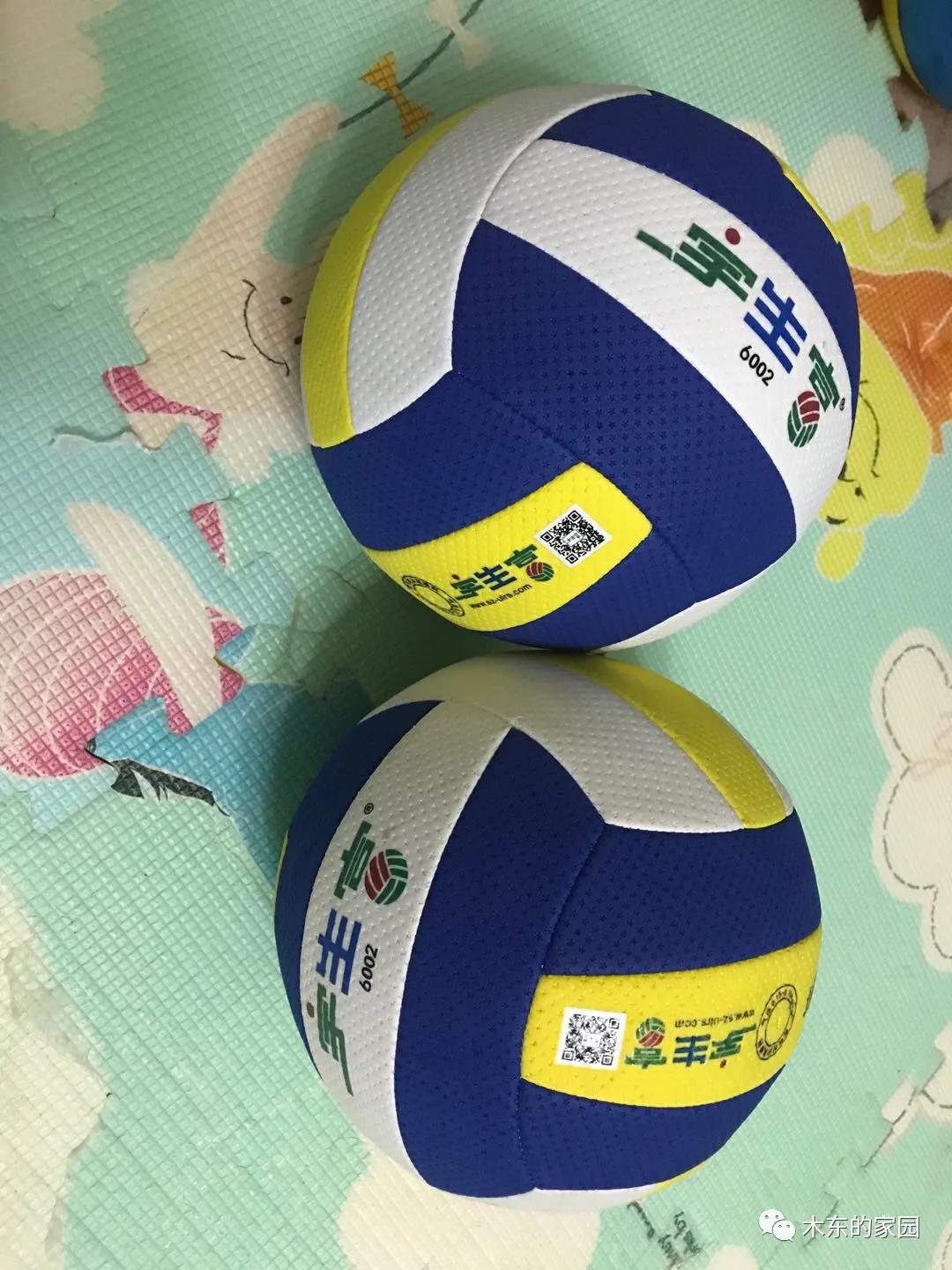 我与排球的不解之缘,我和气排球之缘