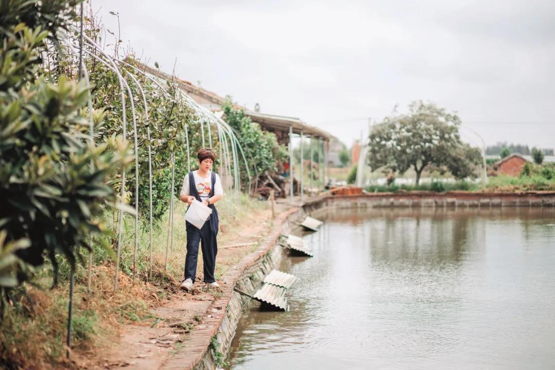 封面故事|嘉善共青团：做共同富裕的青春先行者