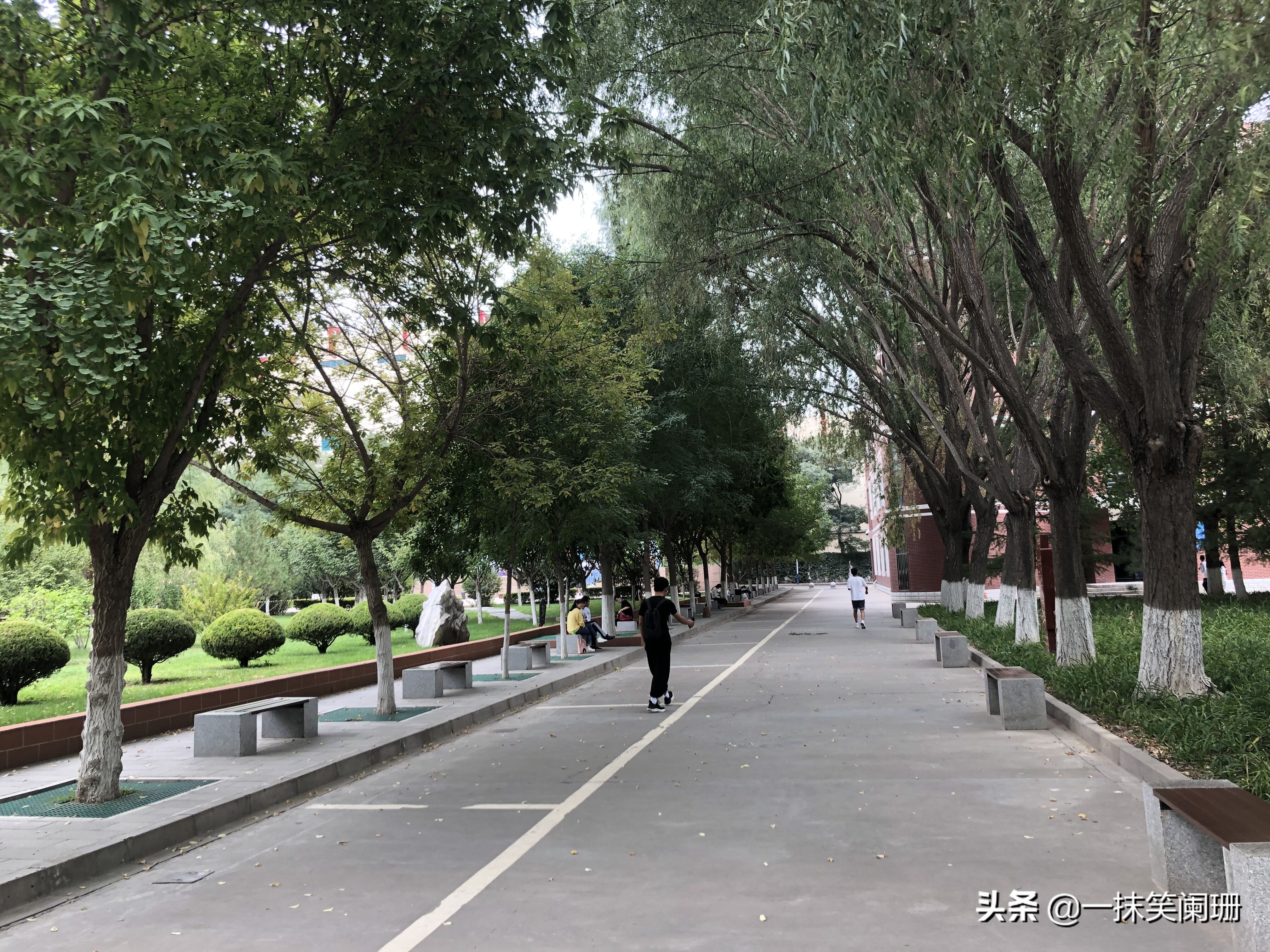 兰州交通大学在西北排名,西北第一高校是兰州大学