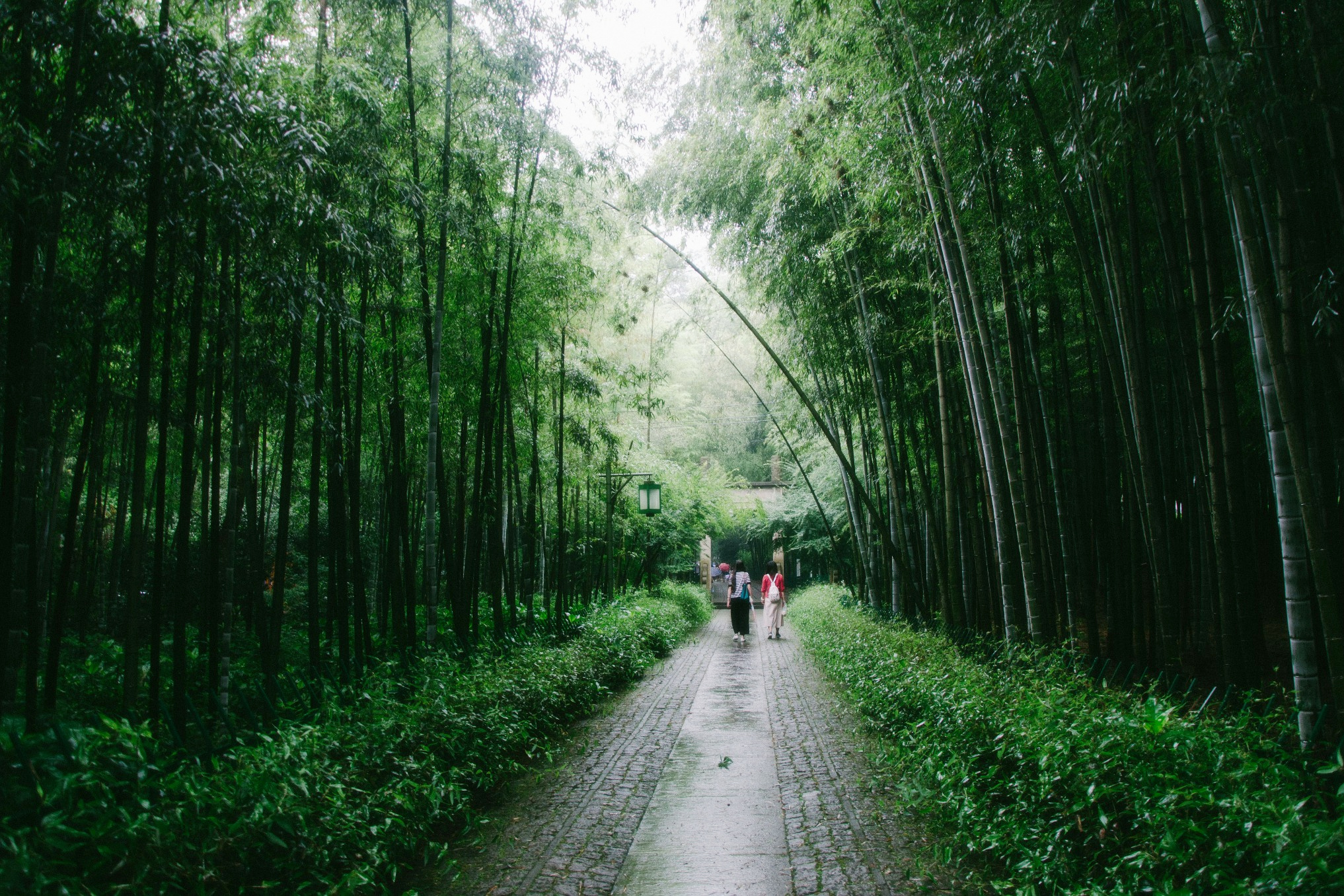 杭州隐藏的小众景点,杭州西湖摄影的最佳位置