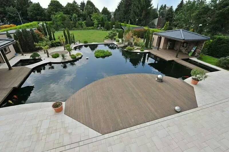 锦鲤排泄物怎么样算正常,锦鲤排泄物怎么处理最好