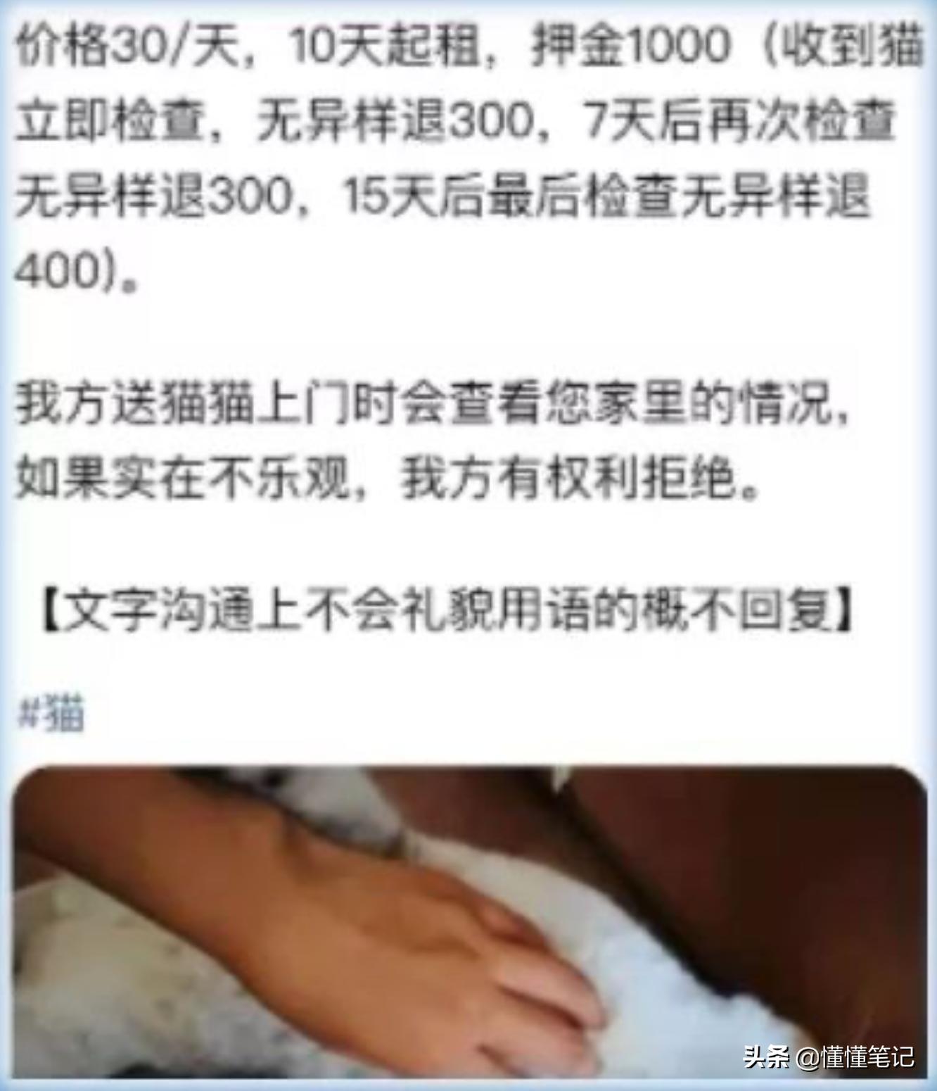 铲屎官一年养猫需要多少钱,铲屎官帮小猫咪做房子