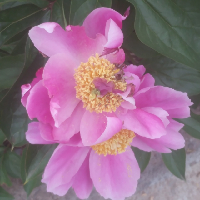 淮南子最有哲理的一句话,淮南子精华全文