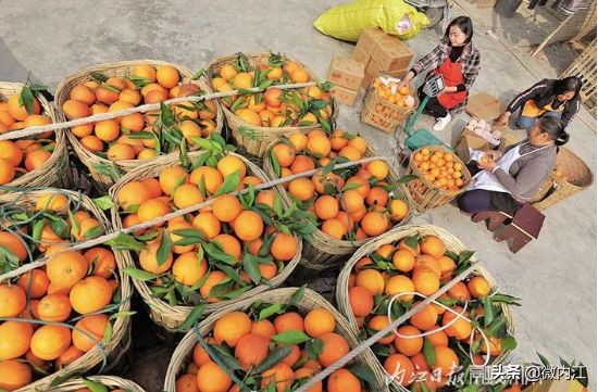 看了这些昔日内江的老照片,岁月痕迹的照片